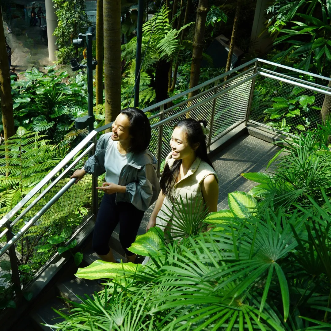 Jewel Changi Airport 02