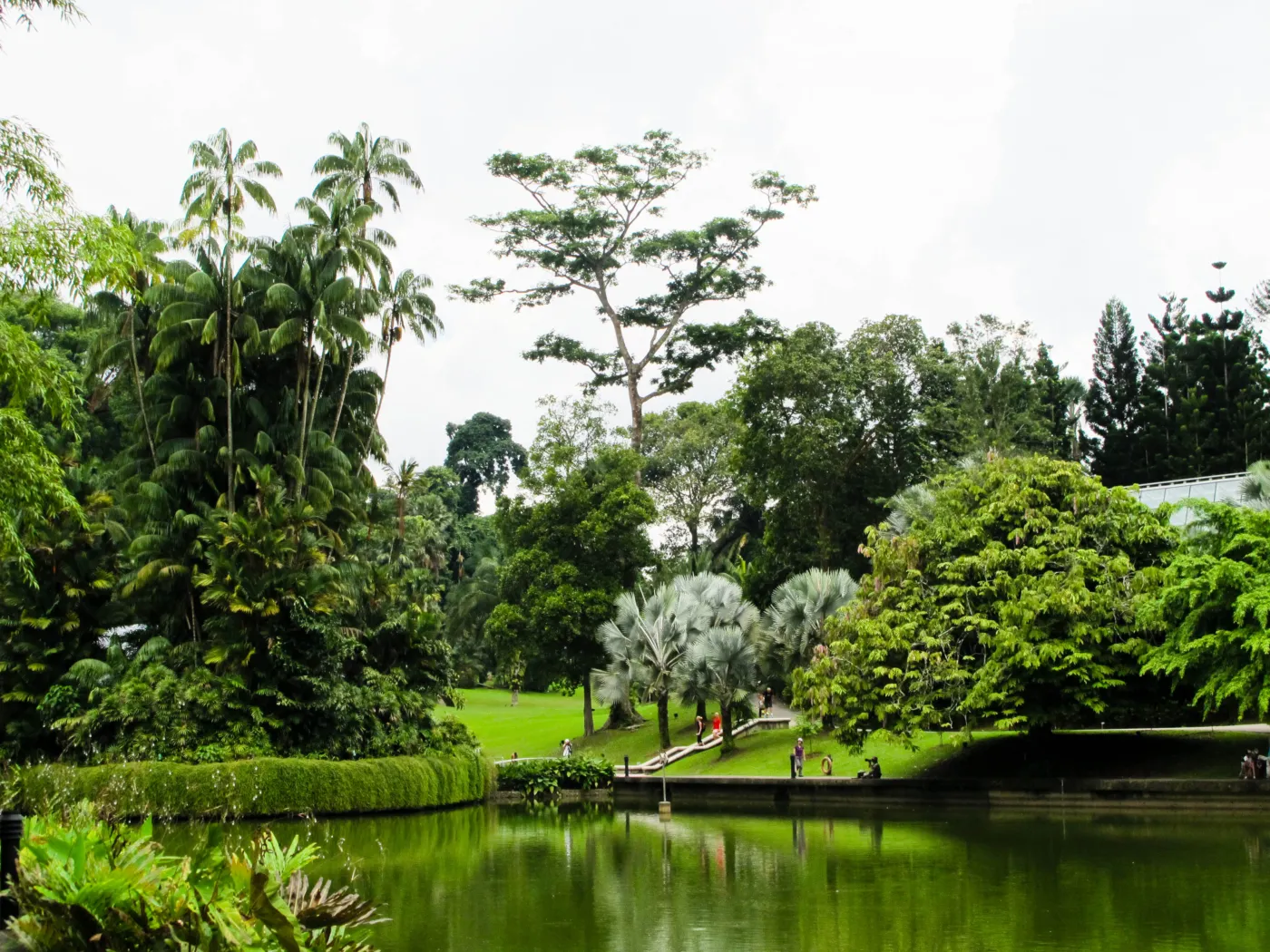 Botanic Gardens Singapore 05