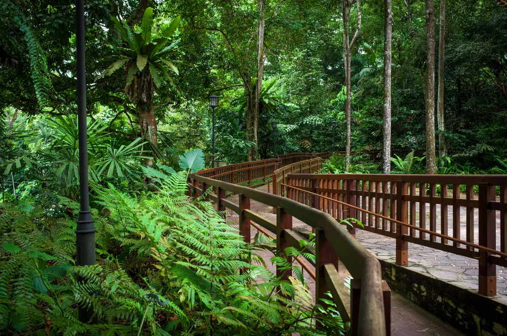 Khu bảo tồn thiên nhiên Bukit Timah 02