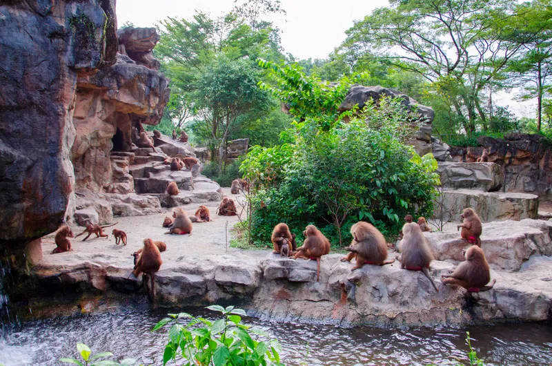 Singapore Zoo 01